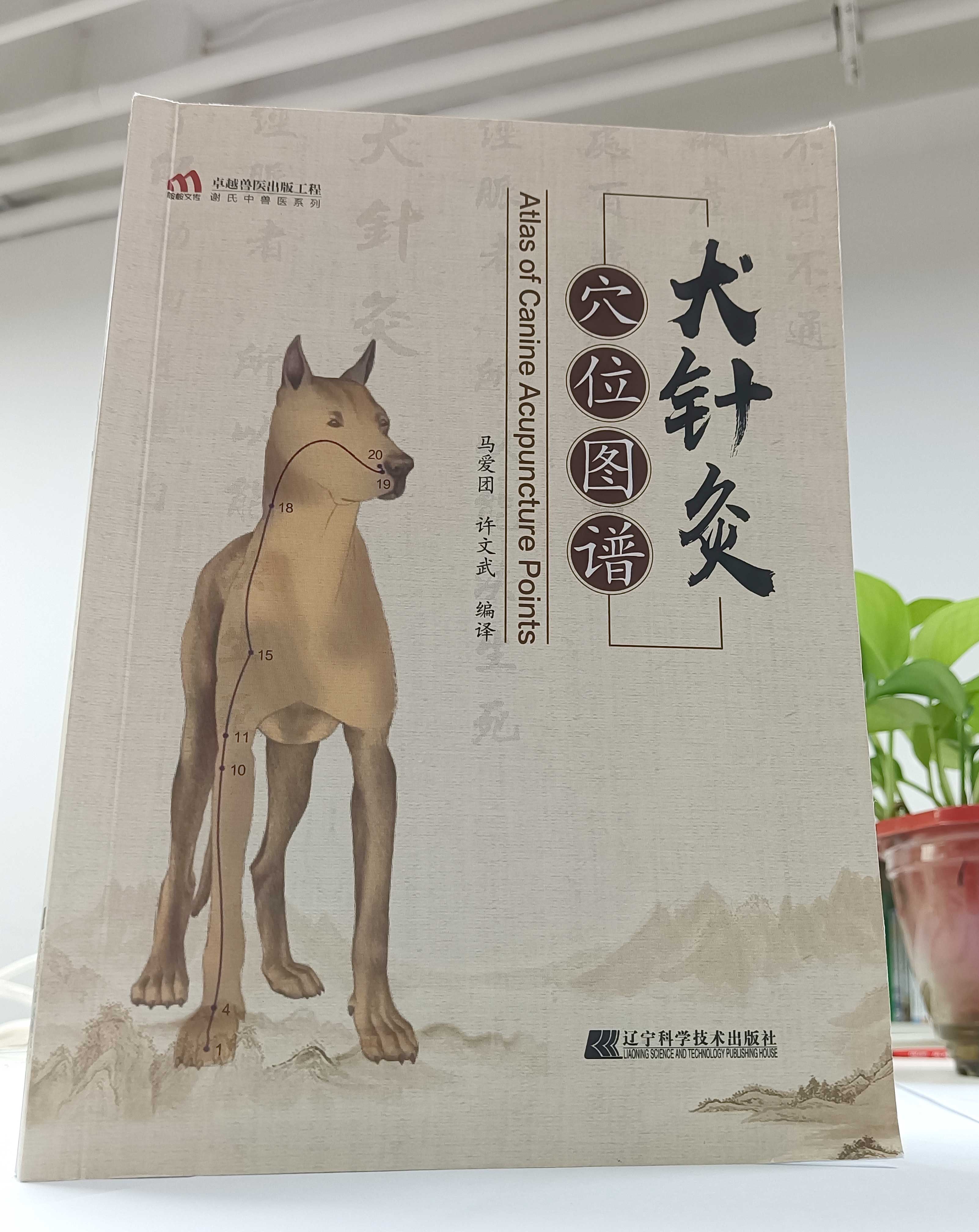 犬针灸穴位图谱